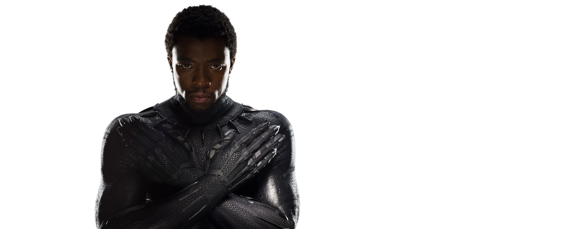 Black Panther (T'Challa)