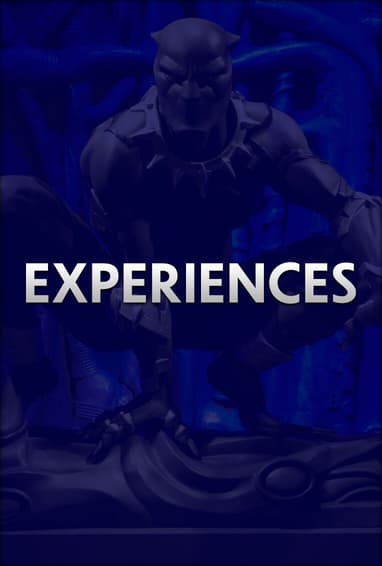 Marvel Culture and Lifestyle Experiences