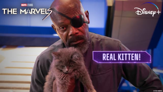 The Marvels | Flerkittens: The Real and Digital Kittens